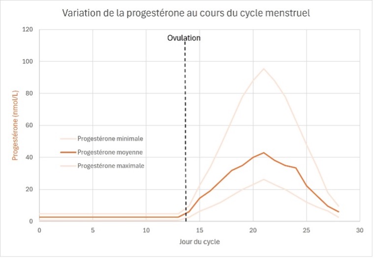 3. Adapté de Verdonk SJE, Vesper HW, Martens F, Sluss PM, Hillebrand JJ, Heijboer AC. Estradiol reference intervals in women during the menstrual cycle, postmenopausal women and men using an LC-MS/MS method. Clin Chim Acta. 2019 Aug;495:198-204. doi: 10.1016/j.cca.2019.04.062.